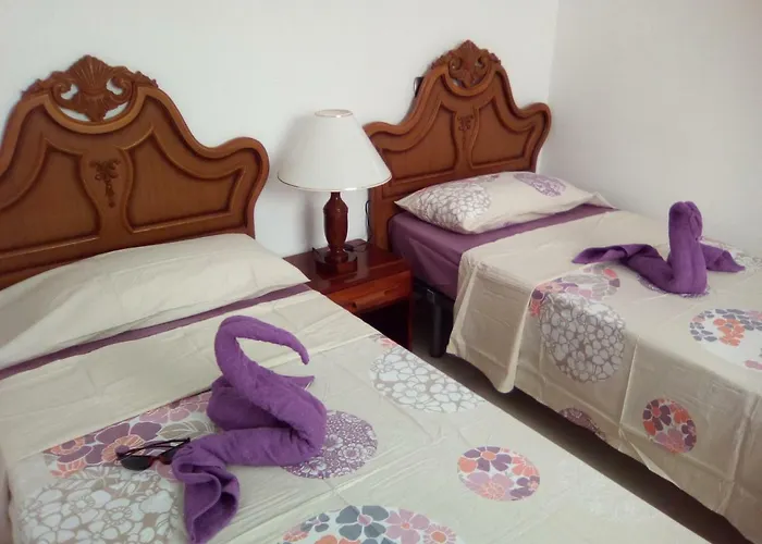 Apartment Carlos Y Rosa Puerto de la Cruz (Tenerife)